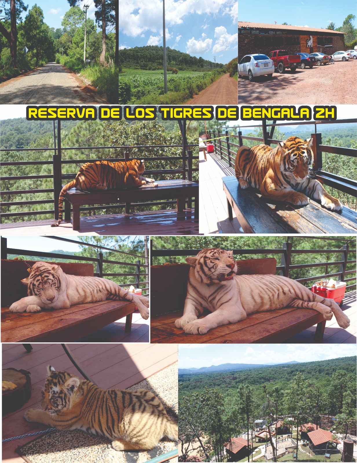 Recorrido Reserva de Los Tigres pura terracería